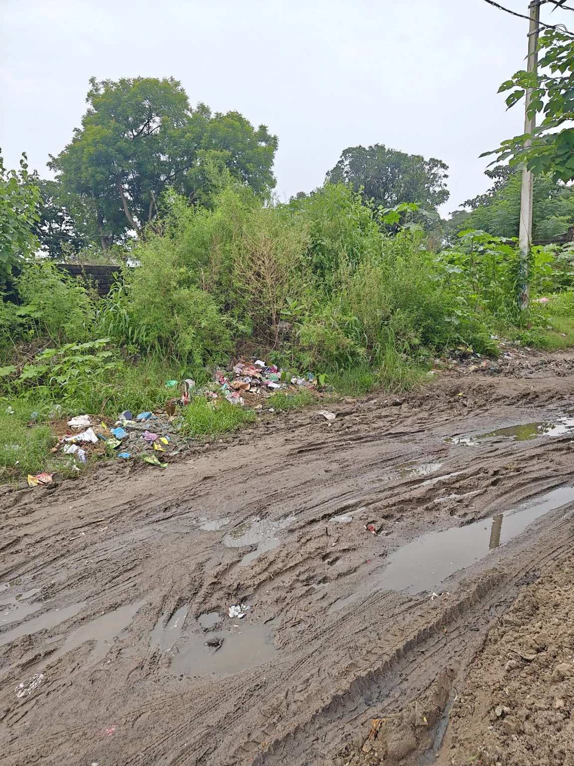 सबलपुर बीतरा — स्थानीय सड़क/जलभराव की वास्तविक फोटो